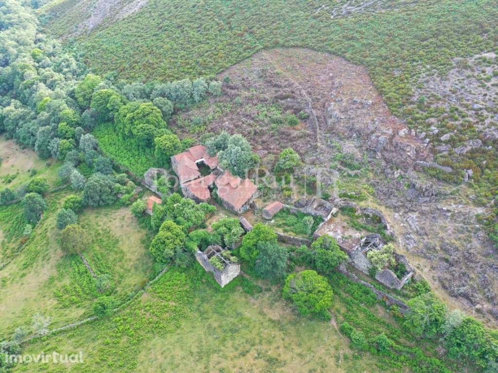 Aldeia Transmontana composta por 22 casas com 63 hectares - Grande imagem: 2/60