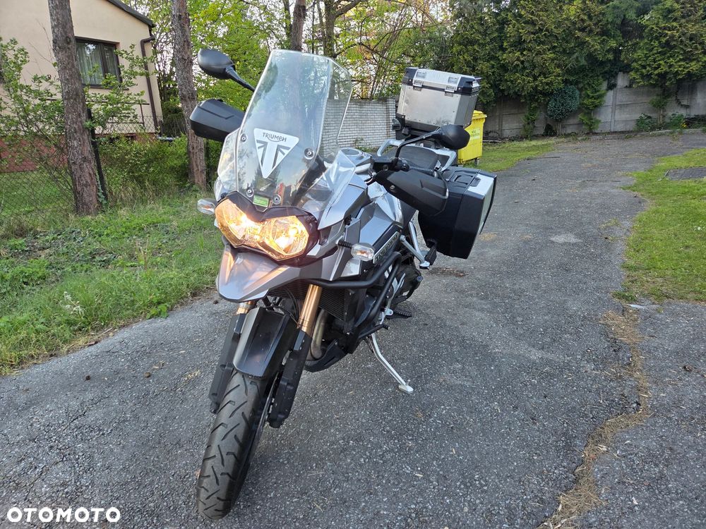 Triumph Tiger - 2