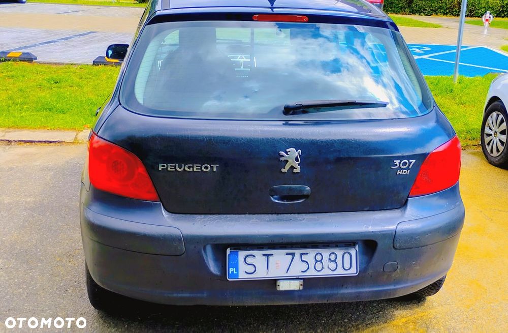 Peugeot 307 1.6 HDI D-sign - 3