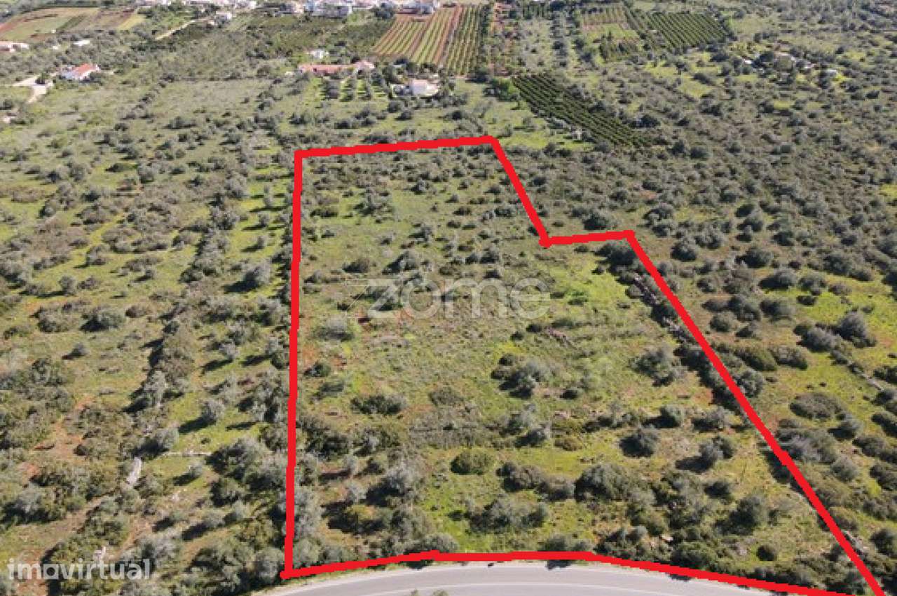 2 Terrenos Rústicos com uma área de 23.960m2, Messines - Grande imagem: 2/20