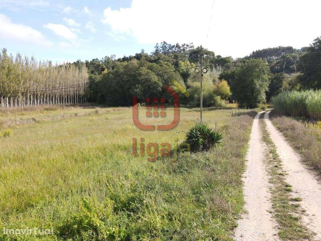 Terreno Com Viabilidade de Construção! - Grande imagem: 4/13