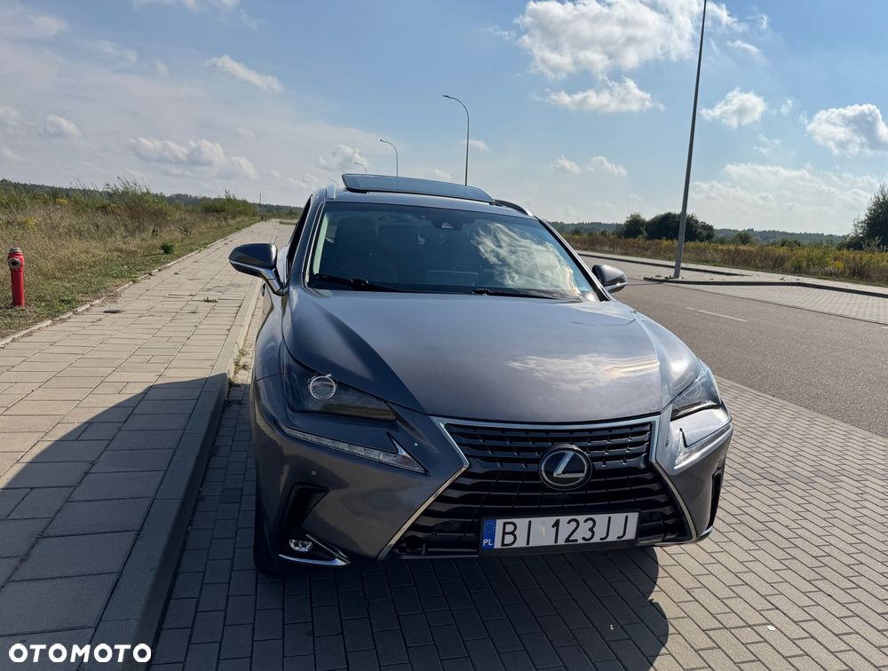 Lexus NX 300 - 18