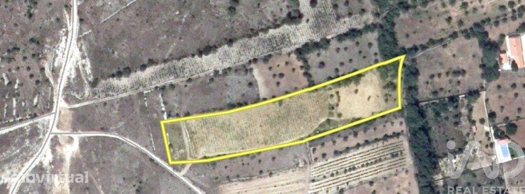 Terreno em Chãos de 9160,00 m2 - Grande imagem: 3/30