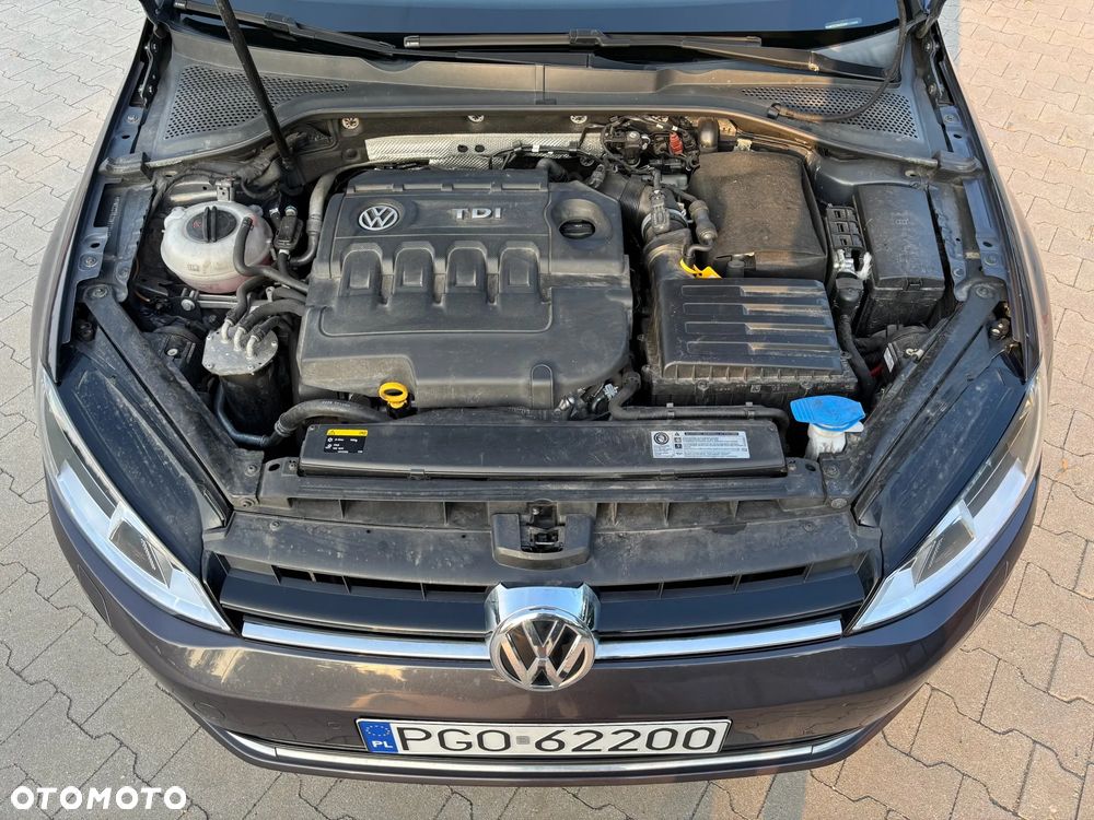 Volkswagen Golf 1.6 TDI BlueMotion Technology Lounge - 20