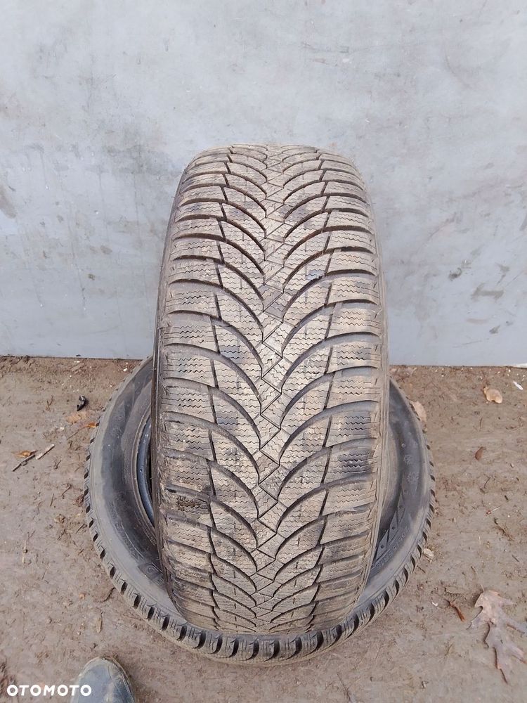 2x opona nexen winguard snow'g wh2 205/55r16 91t - 1