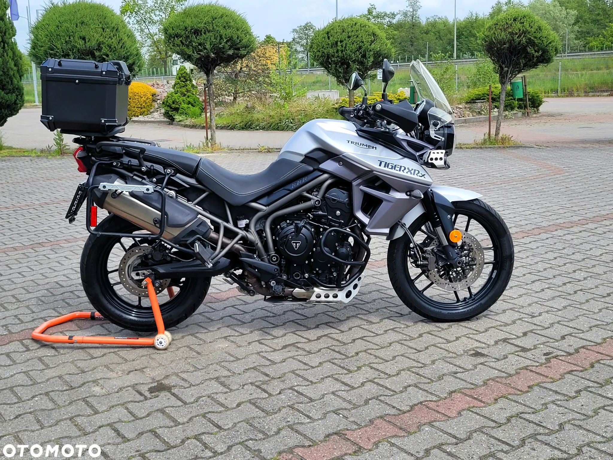 Triumph Tiger - 3