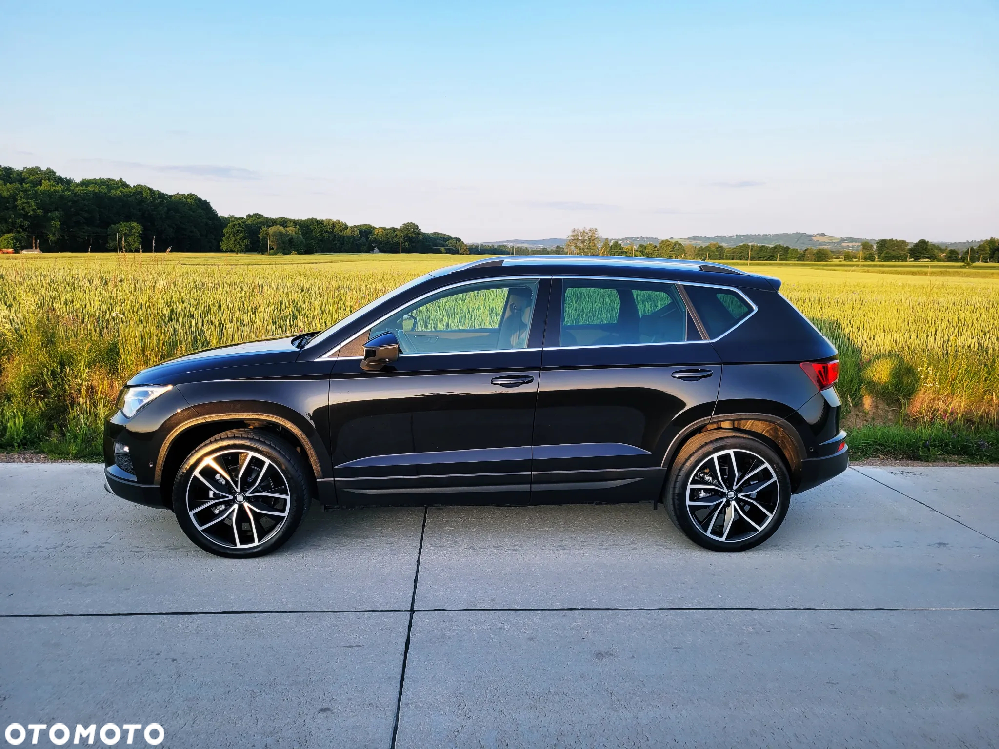 Seat Ateca 2.0 TDI Xcellence S&S 4Drive DSG - 2