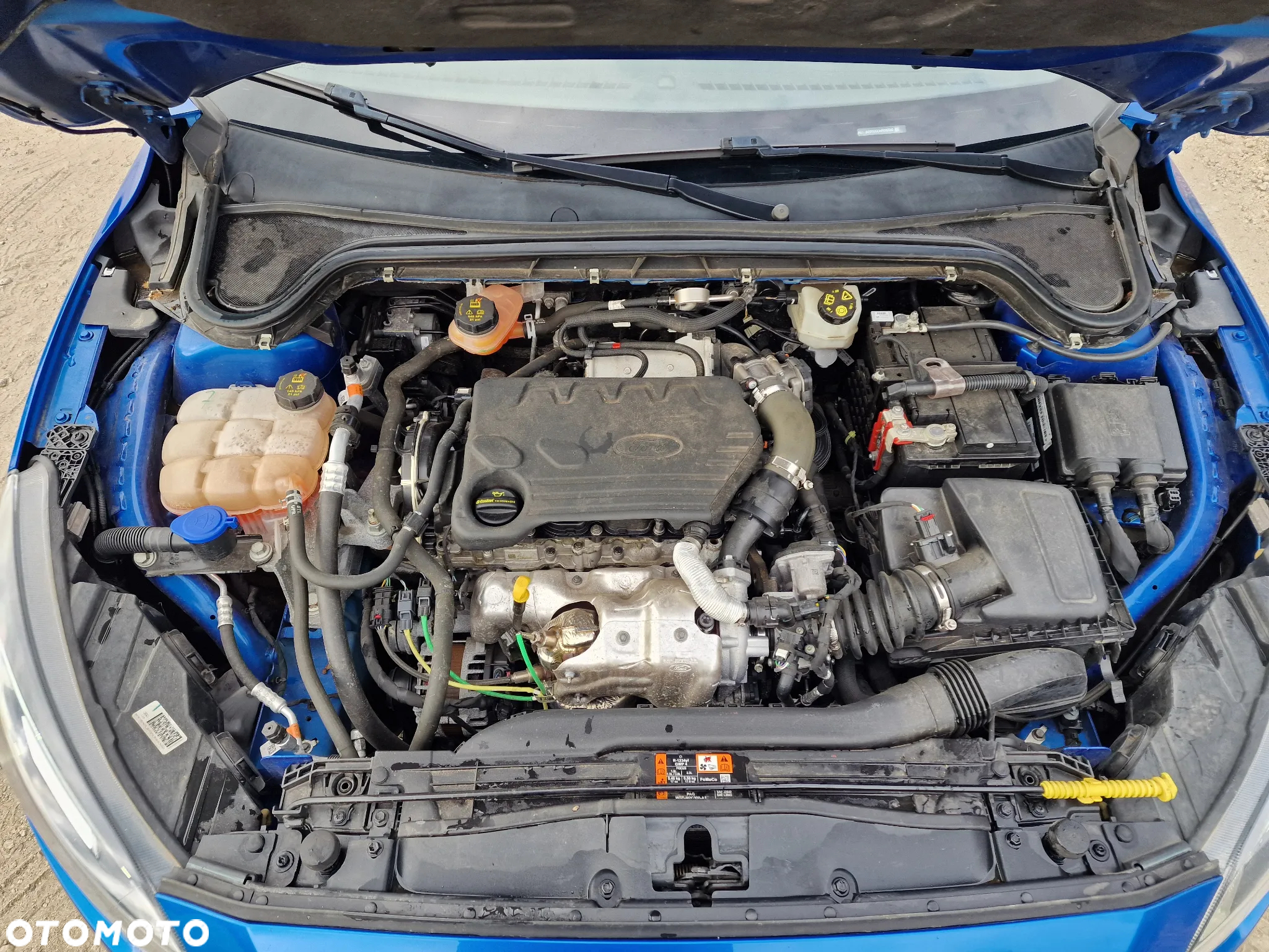 Ford Focus - 19
