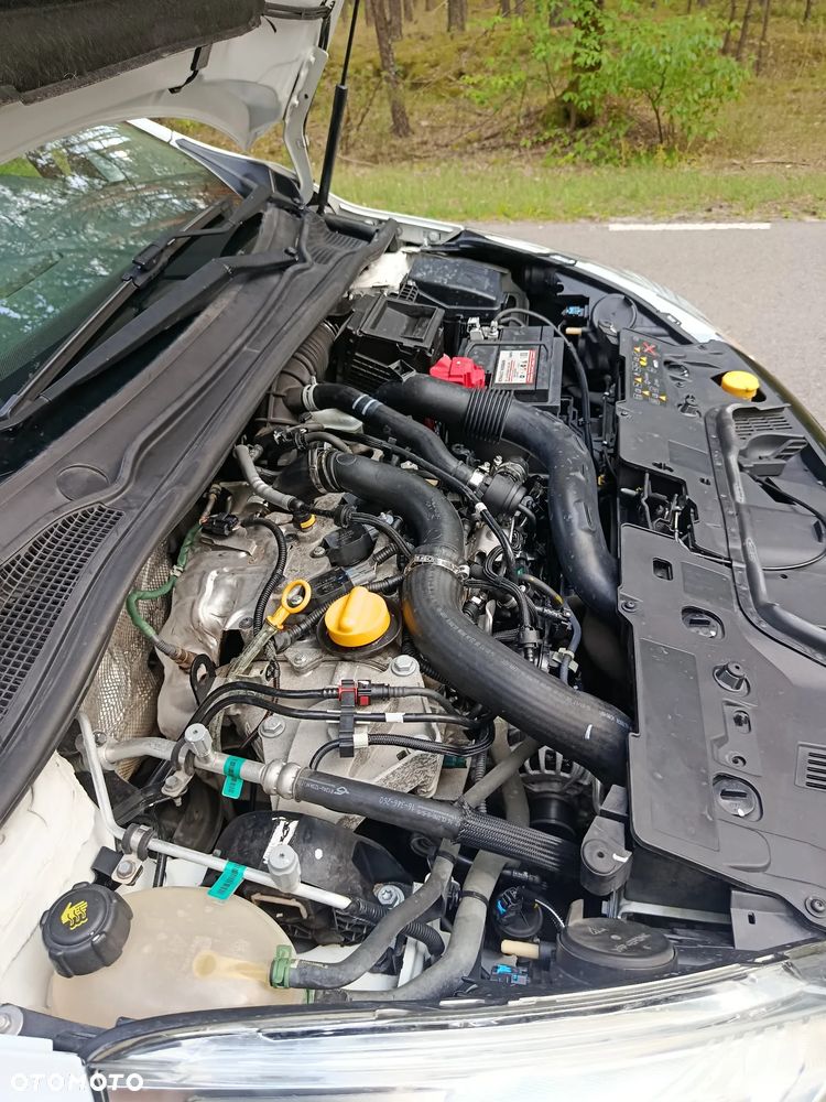 Renault Clio - 24