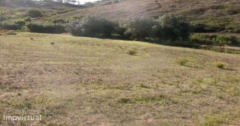 Arrendo terreno na Aboboreira - Grande imagem: 2/3