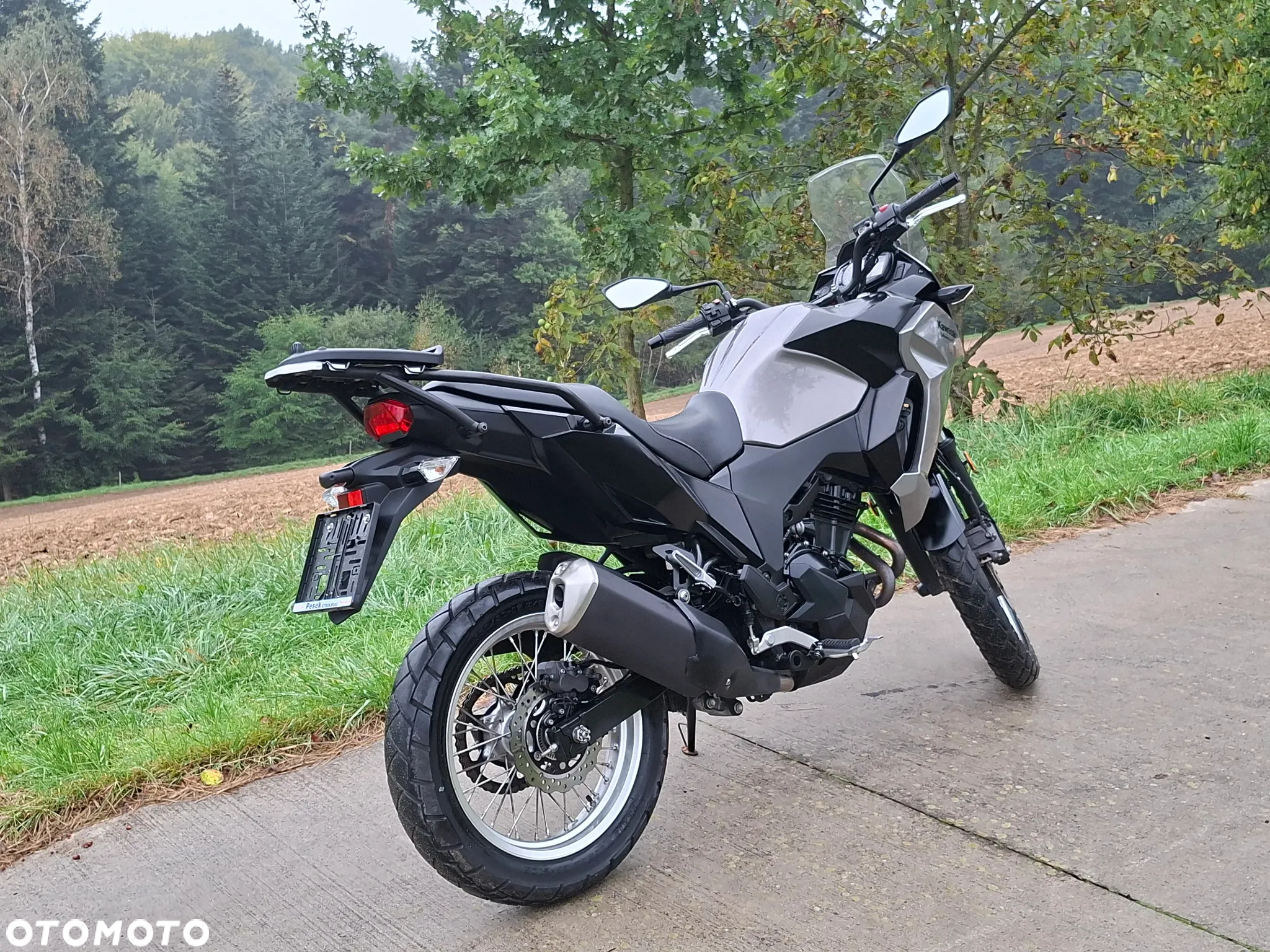 Kawasaki Versys-X 300 - 5