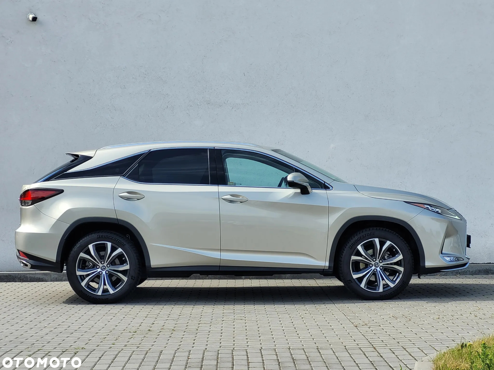 Lexus RX 300 Business Edition + - 10