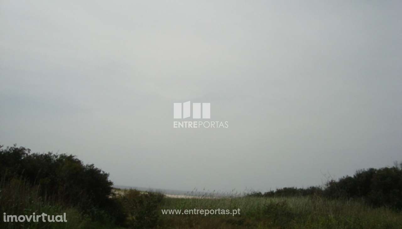 Terreno Agrícola - Afife - Grande imagem: 5/6