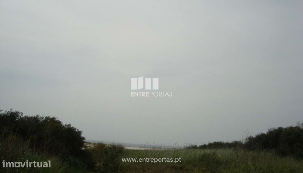 Terreno Agrícola - Afife - Grande imagem: 5/6