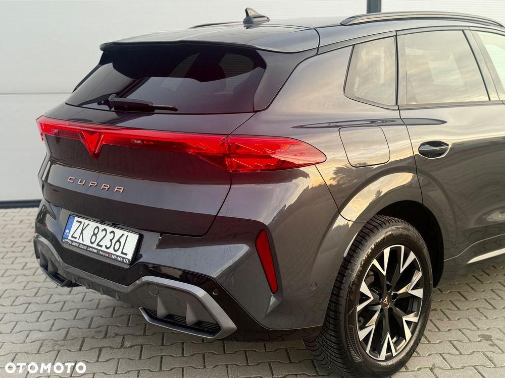 Cupra Terramar 1.5 eTSI DSG Tribe Edition - 17