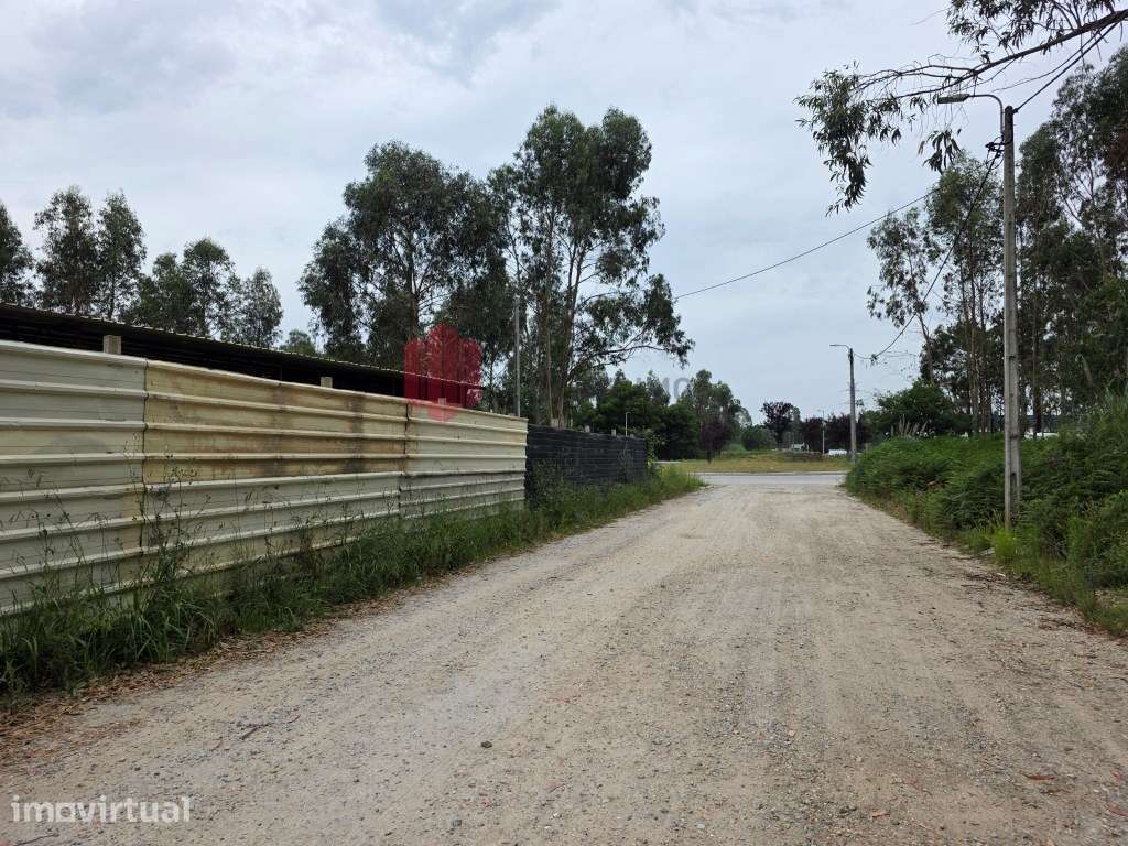 **Terreno Industrial com Projeto Aprovado | 5.247 m² | Perosinho - ... - Grande imagem: 3/7