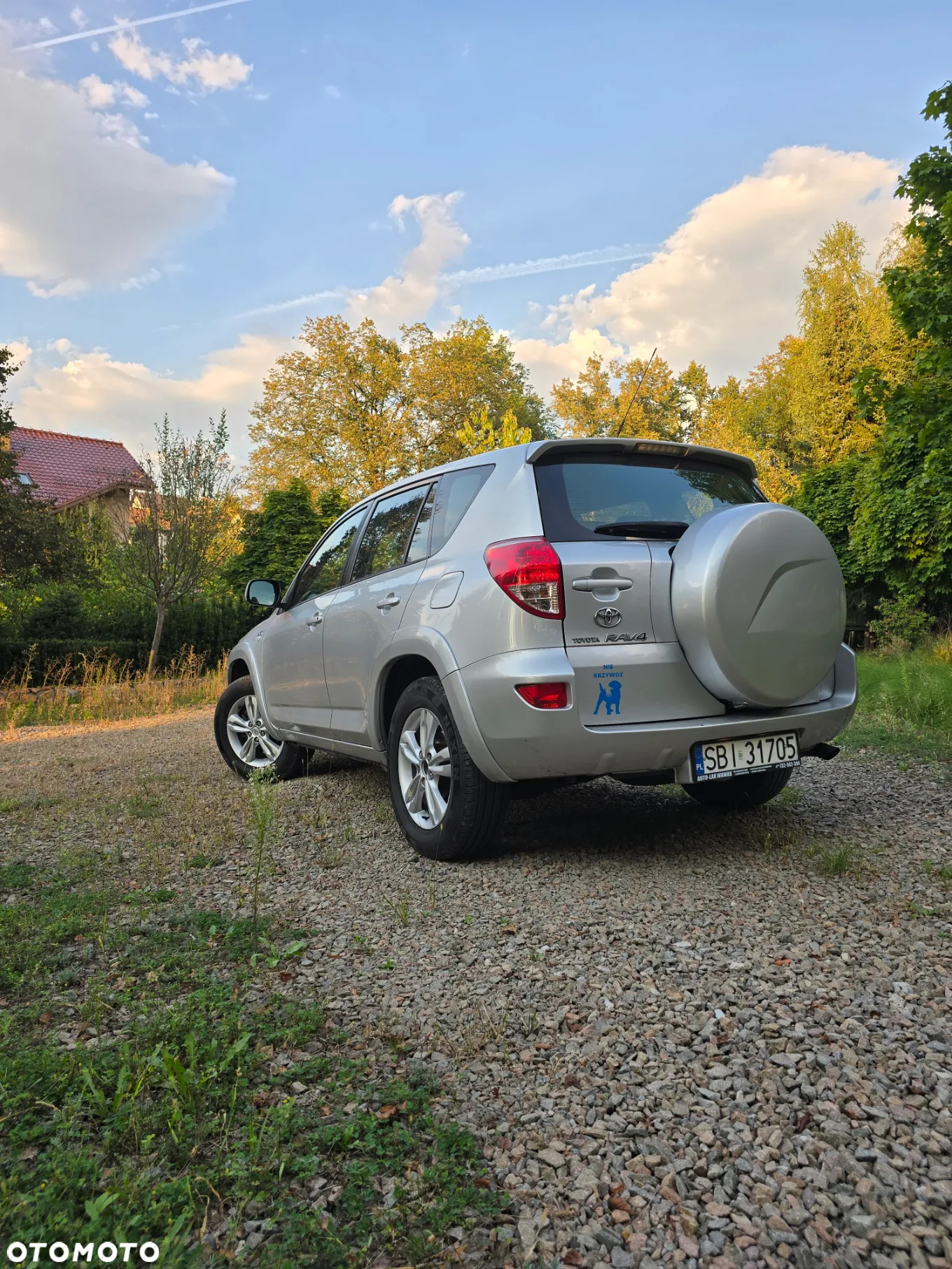 Toyota RAV4 2.2 D-CAT 4x4 Executive - 25