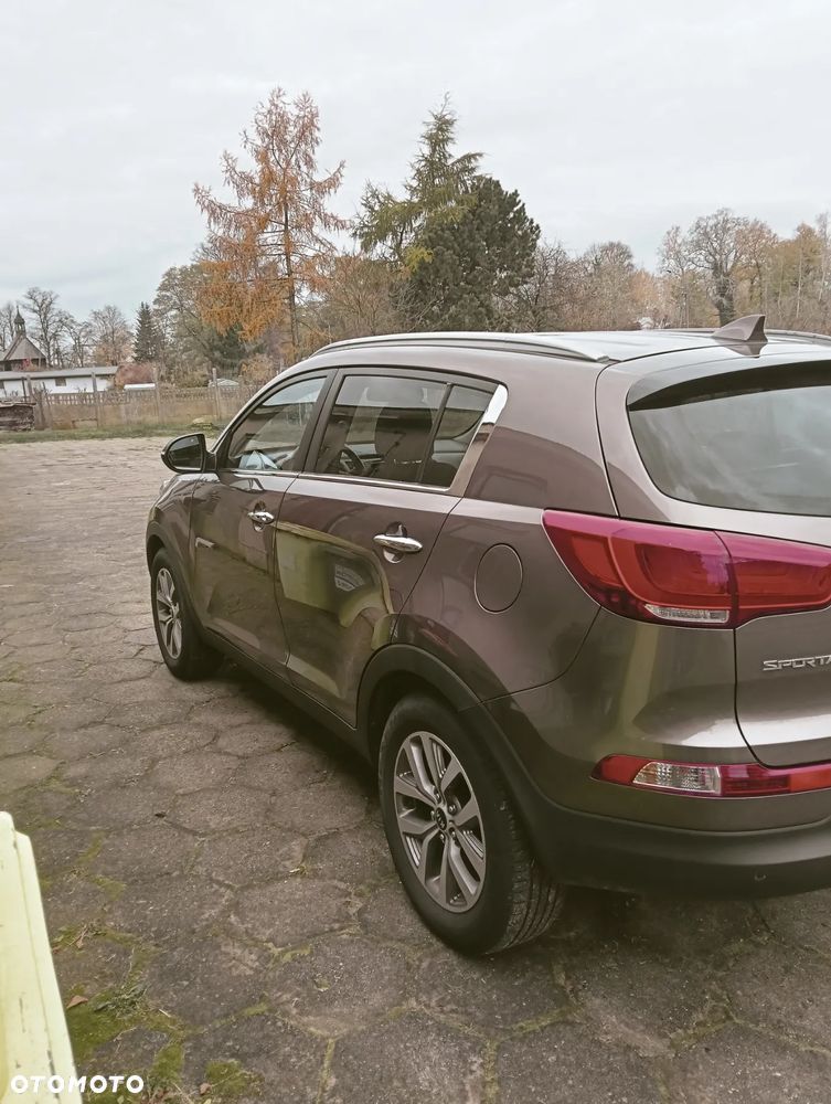 Kia Sportage 1.6 GDI Business Line L 2WD - 4