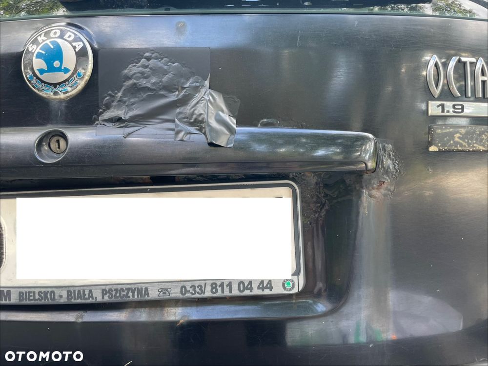 Skoda Octavia 1.9 TDI Ice - 7