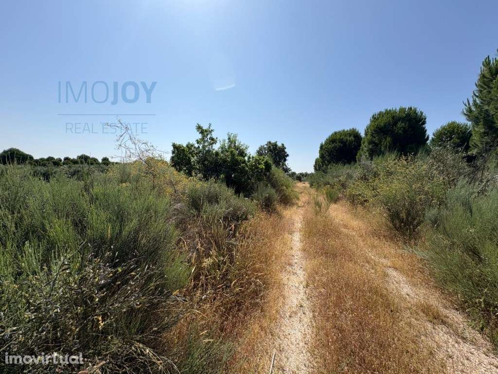 Fantástica Herdade na freguesia de Ninho de Açor e Sobral do Campo,... - Grande imagem: 5/14
