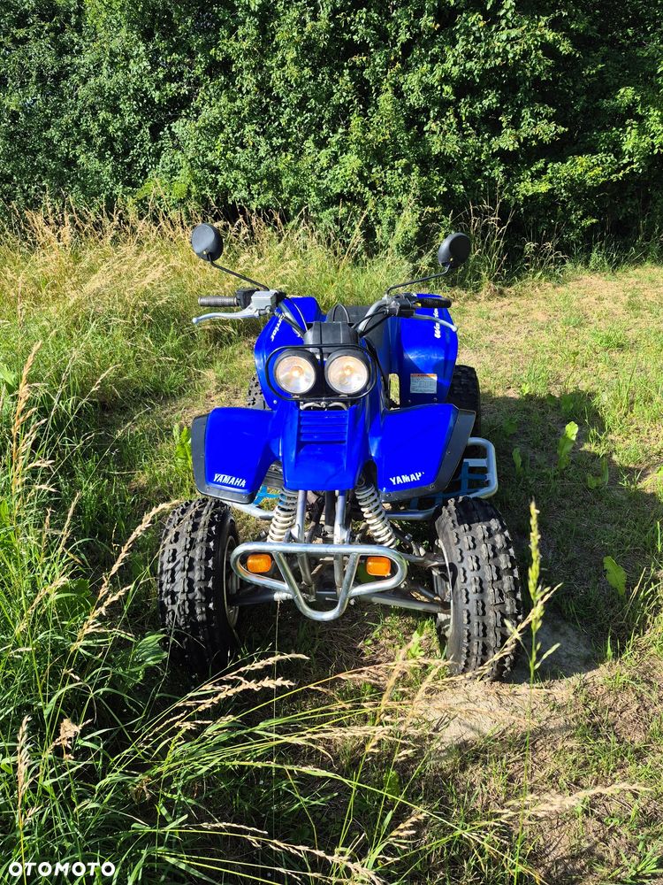 Yamaha Warrior - 1