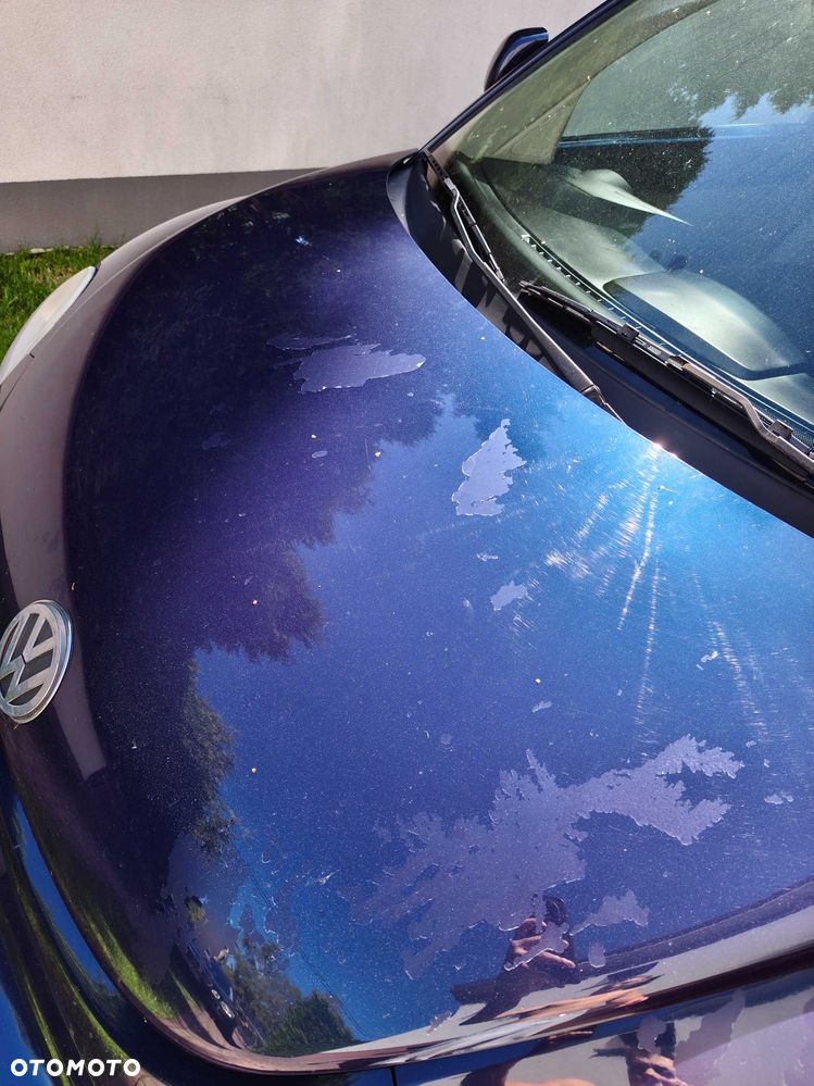 Volkswagen New Beetle - 6