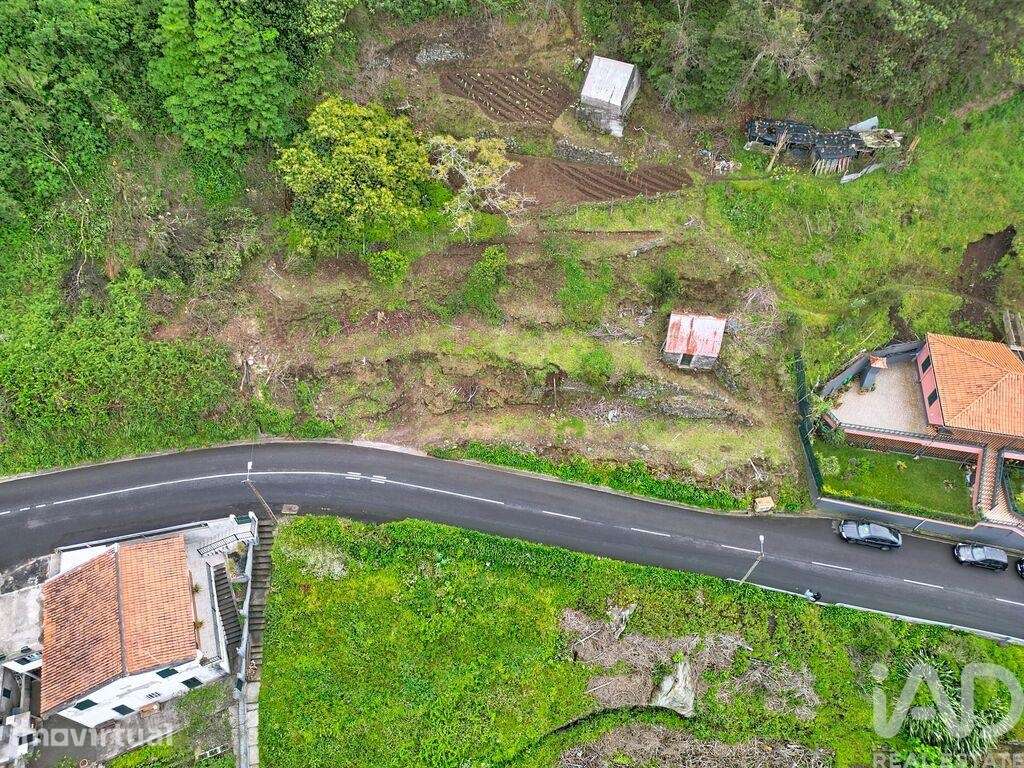 Terreno Agrícola em Boa Ventura - Grande imagem: 4/7