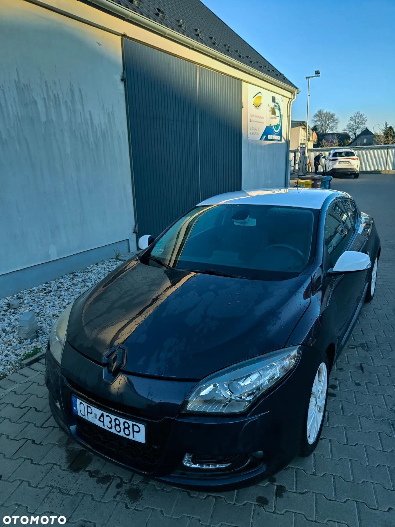 Renault Megane - 3