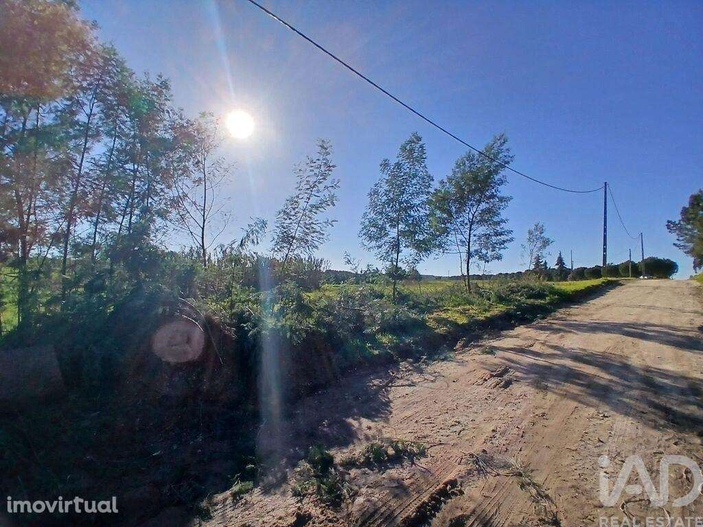 Terreno Agrícola em Almeirim - Grande imagem: 5/5