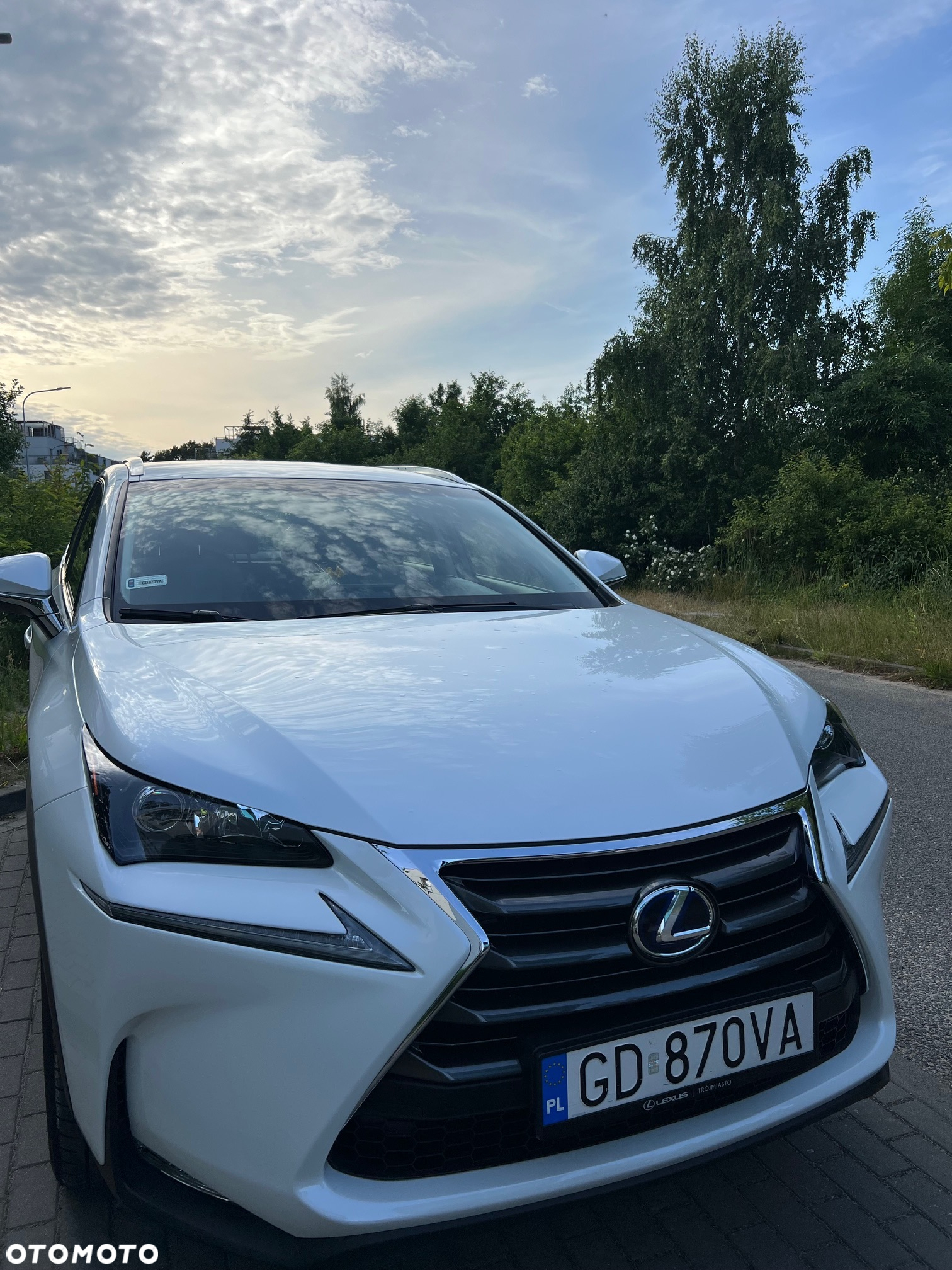 Lexus NX 300h Elite AWD - 10