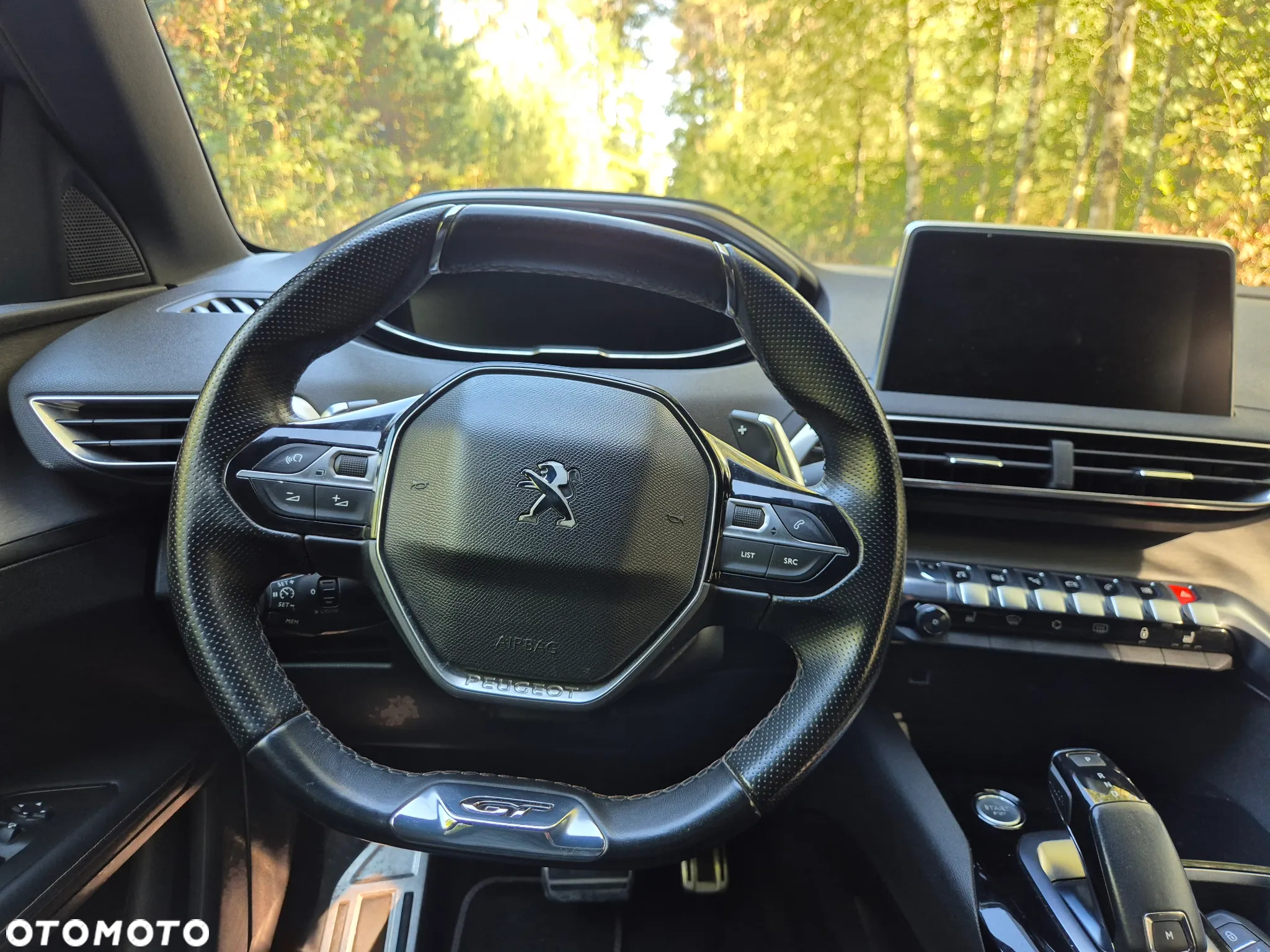 Peugeot 3008 BlueHDi 180 Stop & Start EAT6 GT - 32