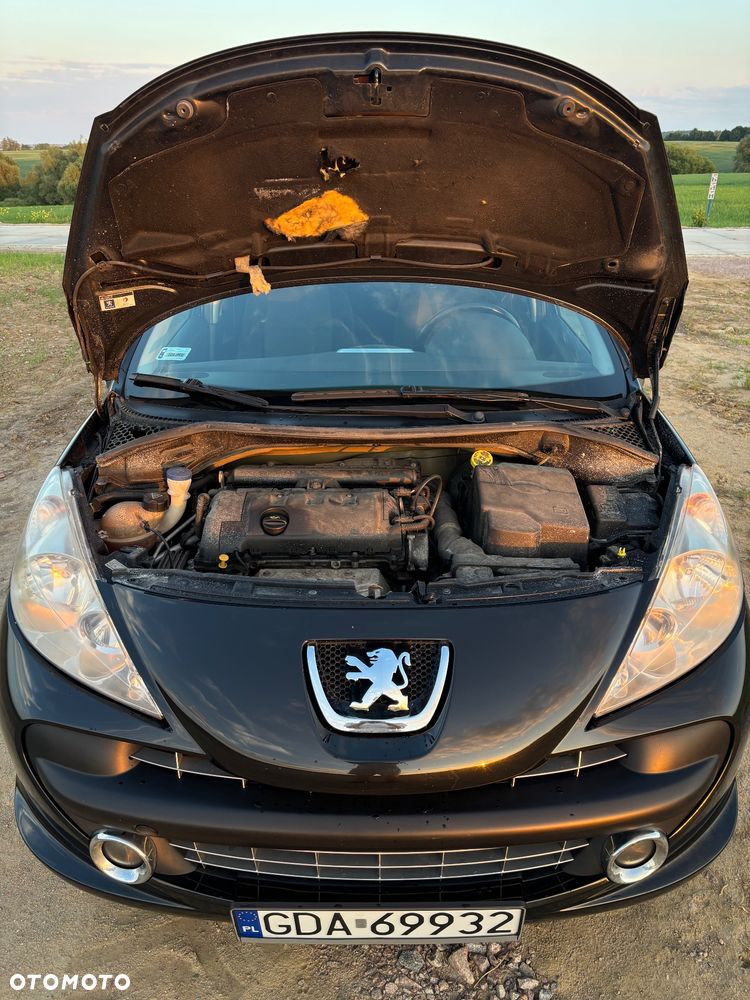 Peugeot 207 1.4 - 19