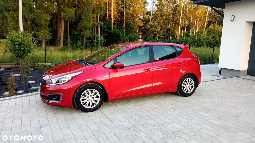 Kia Ceed - 3
