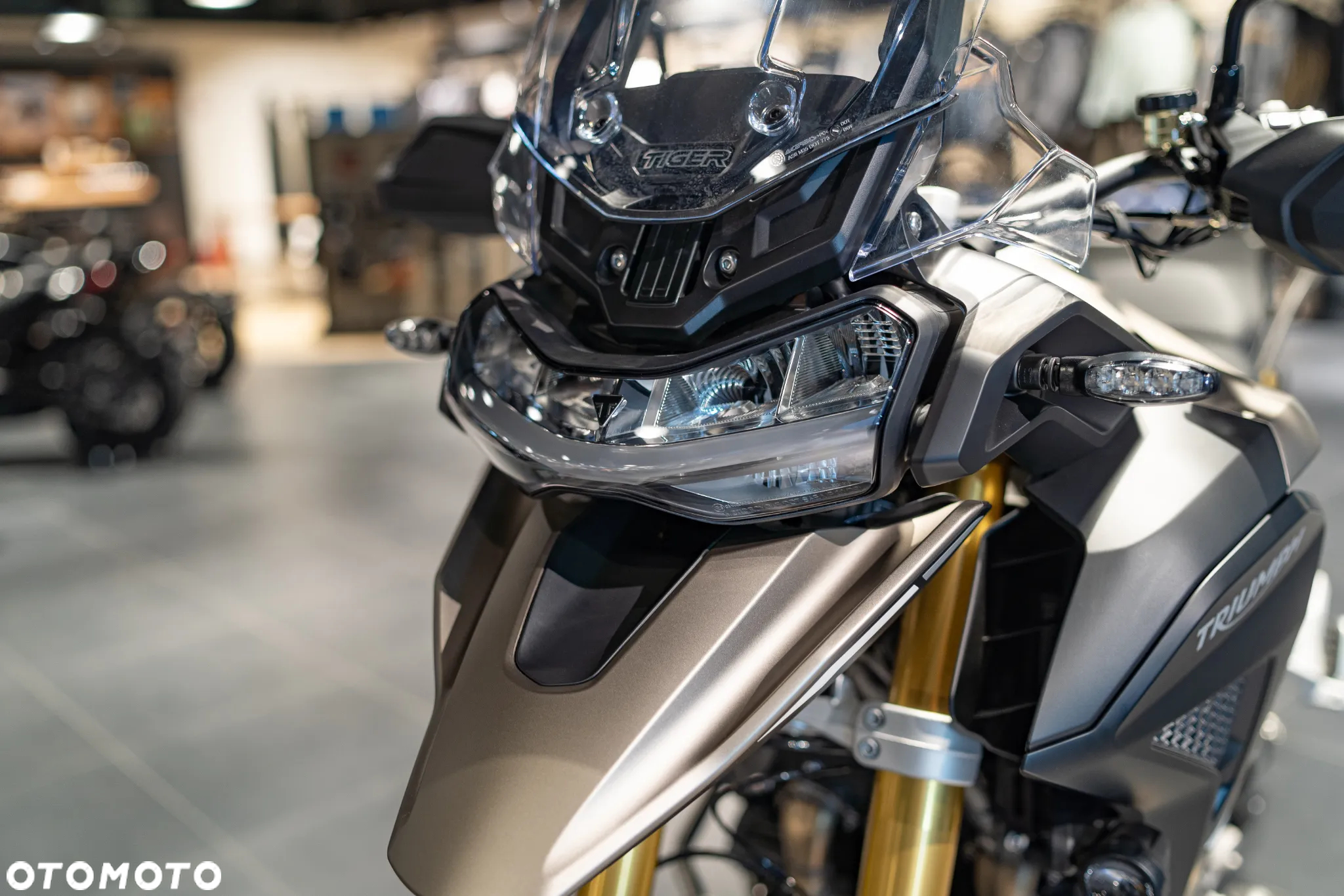 Triumph Tiger - 19