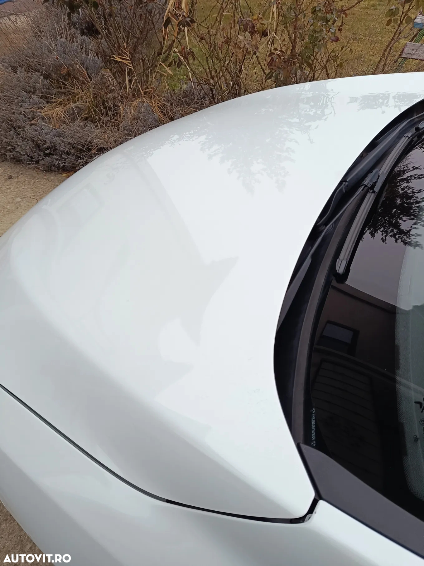 Renault Megane - 18