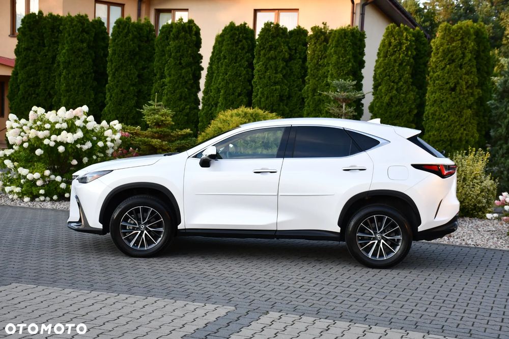Lexus NX - 9