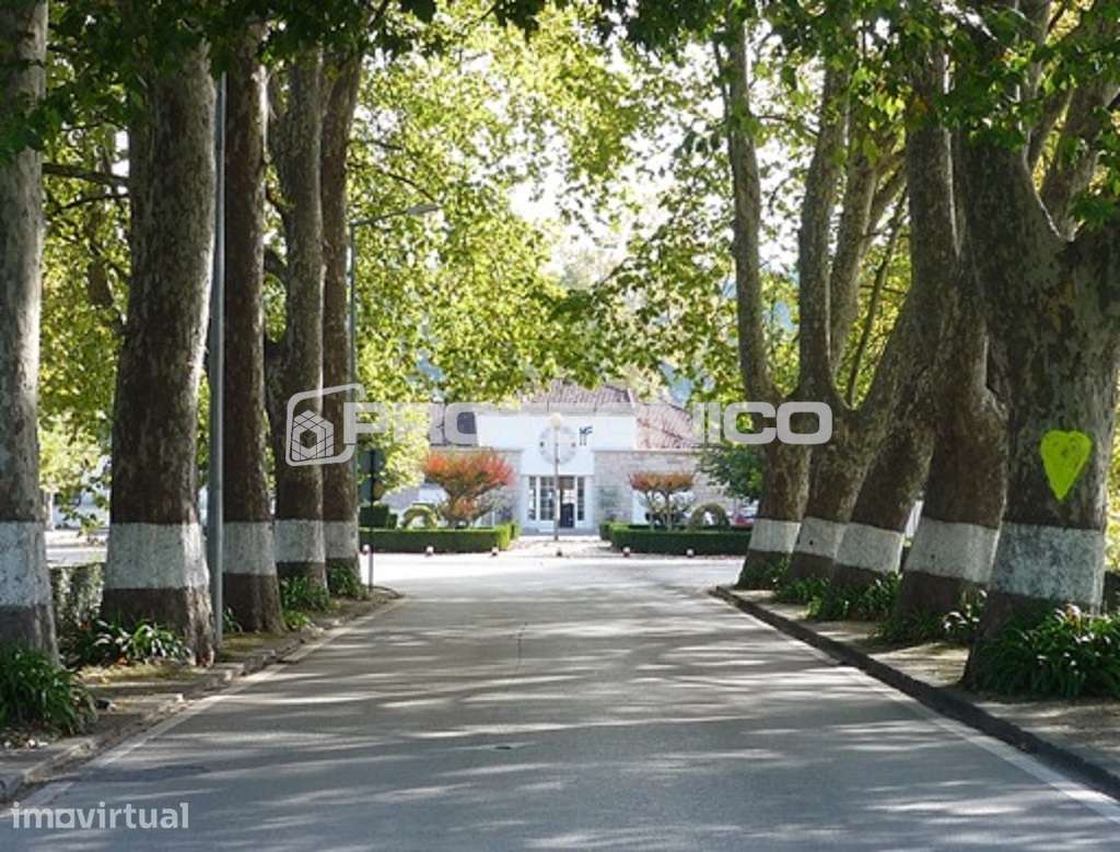 Terreno c/ 2 frentes- Curia - Grande imagem: 2/3