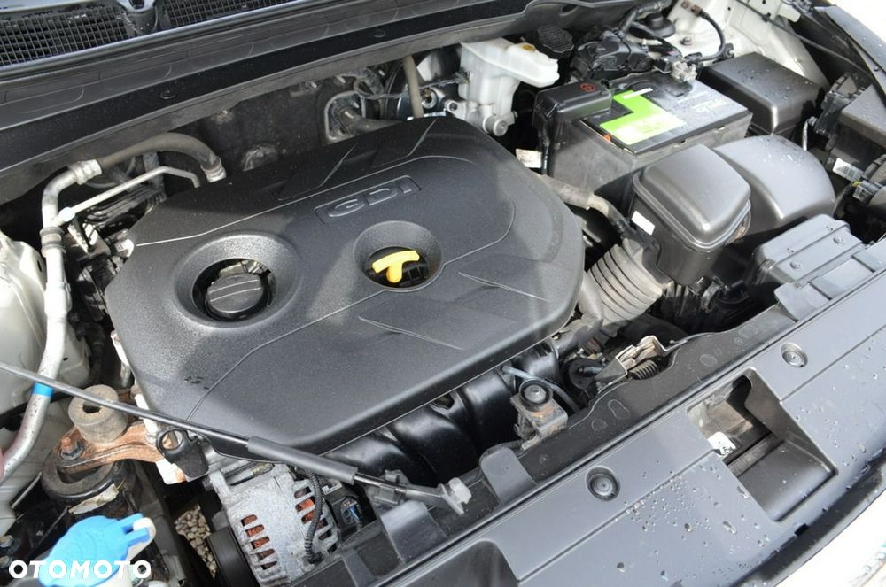 Kia Sportage - 3