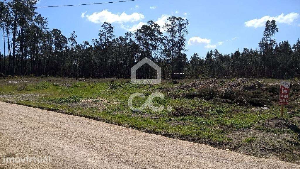 Terreno  Venda em Marinha Grande,Marinha Grande - Grande imagem: 2/4