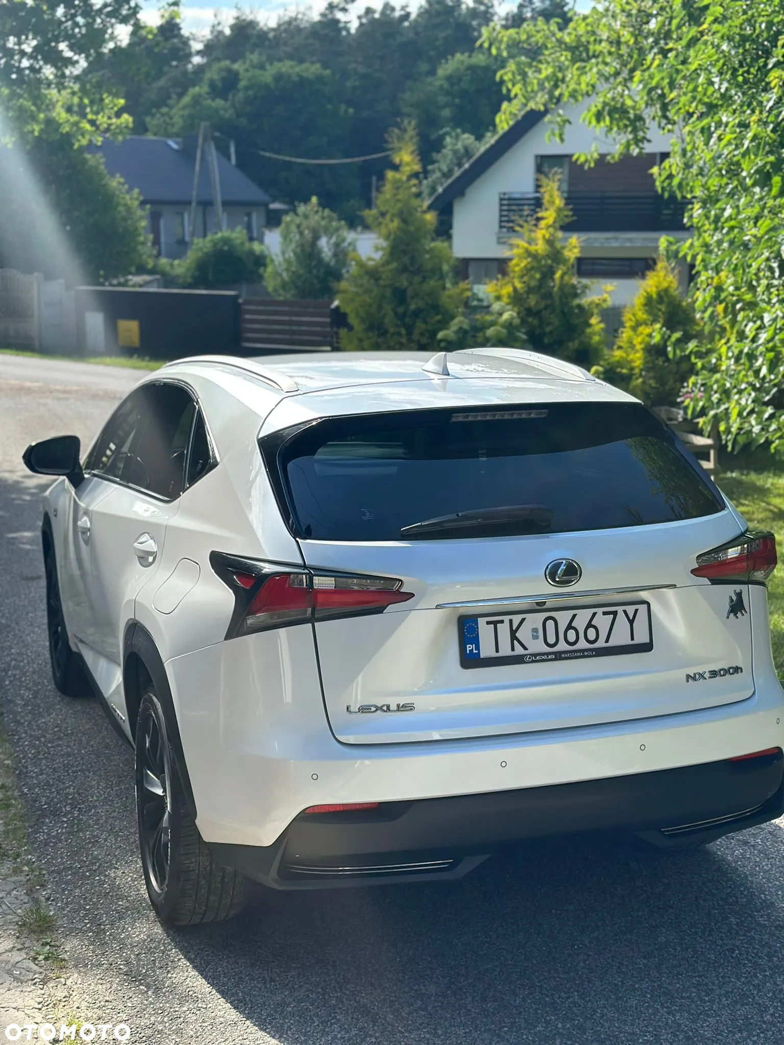 Lexus NX 300h - 11