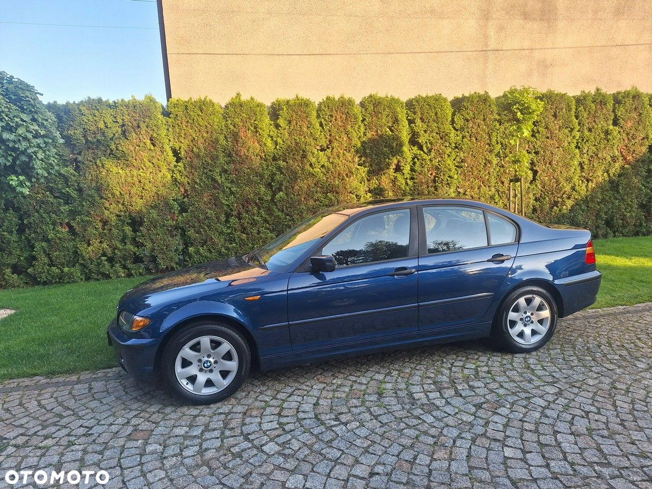 BMW Seria 3 318i Edition Exclusive - 33
