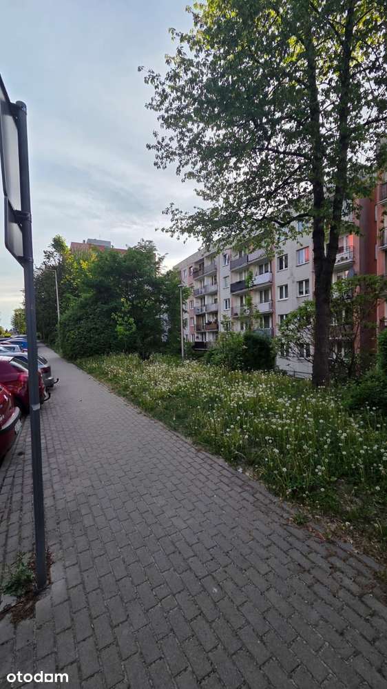 Mieszanie w świetnej lokalizacji!!! Duża piwnica!!!