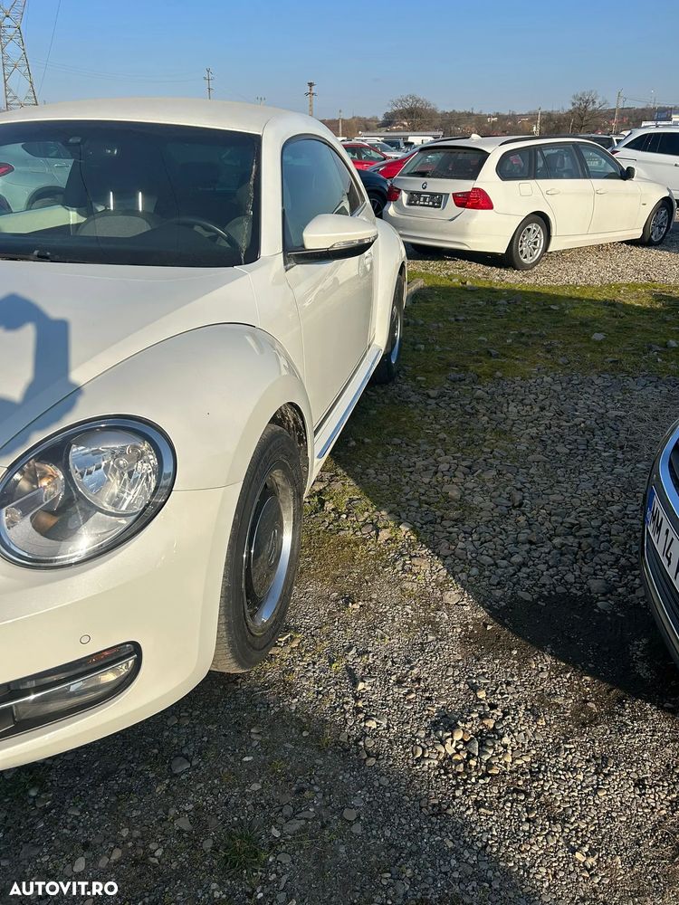 Volkswagen Beetle - 3