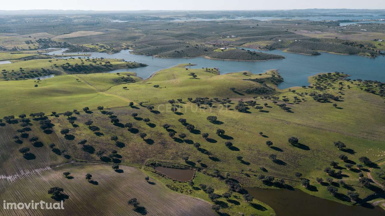Herdade dos Castelhanos -  190 Hectares, Moura, Alentejo - Grande imagem: 4/9
