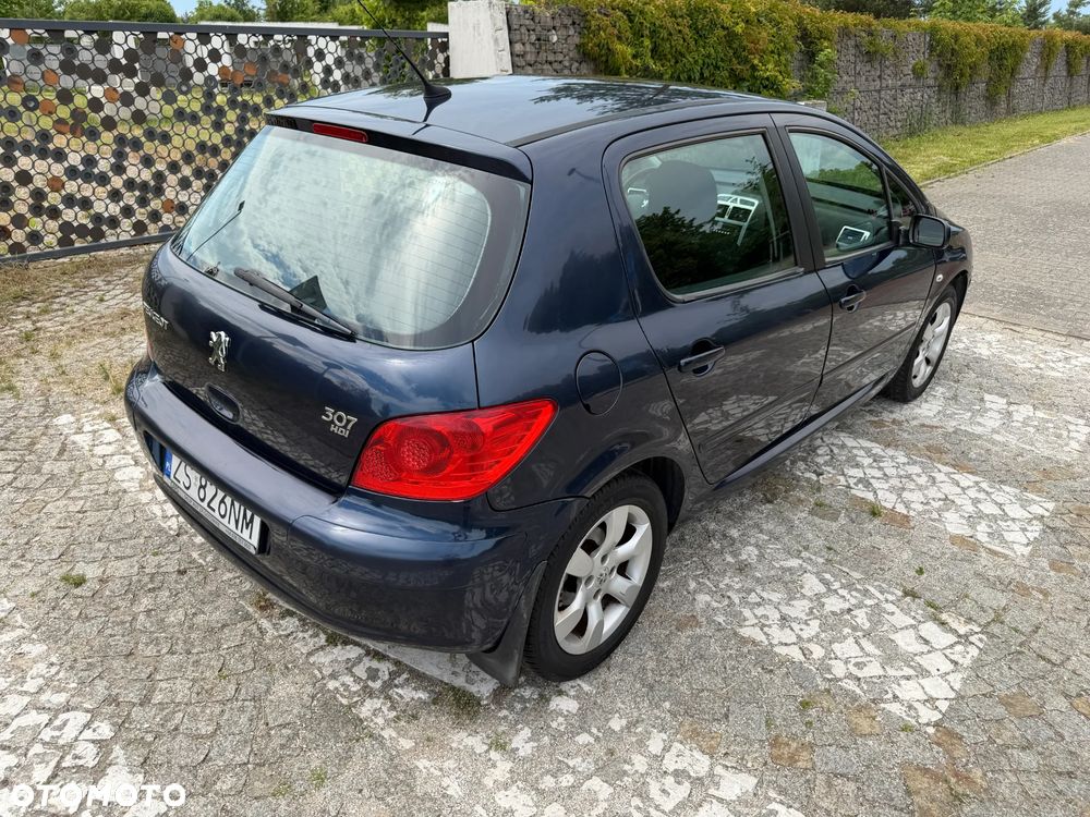 Peugeot 307 HDi 90 Filou - 13