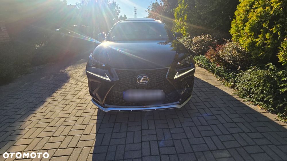Lexus NX 300 AWD F SPORT - 16