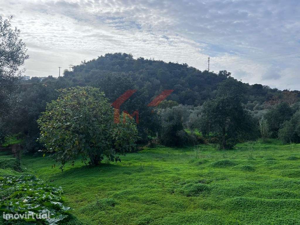 Terreno urbano com vista campo - Salir - Grande imagem: 5/8