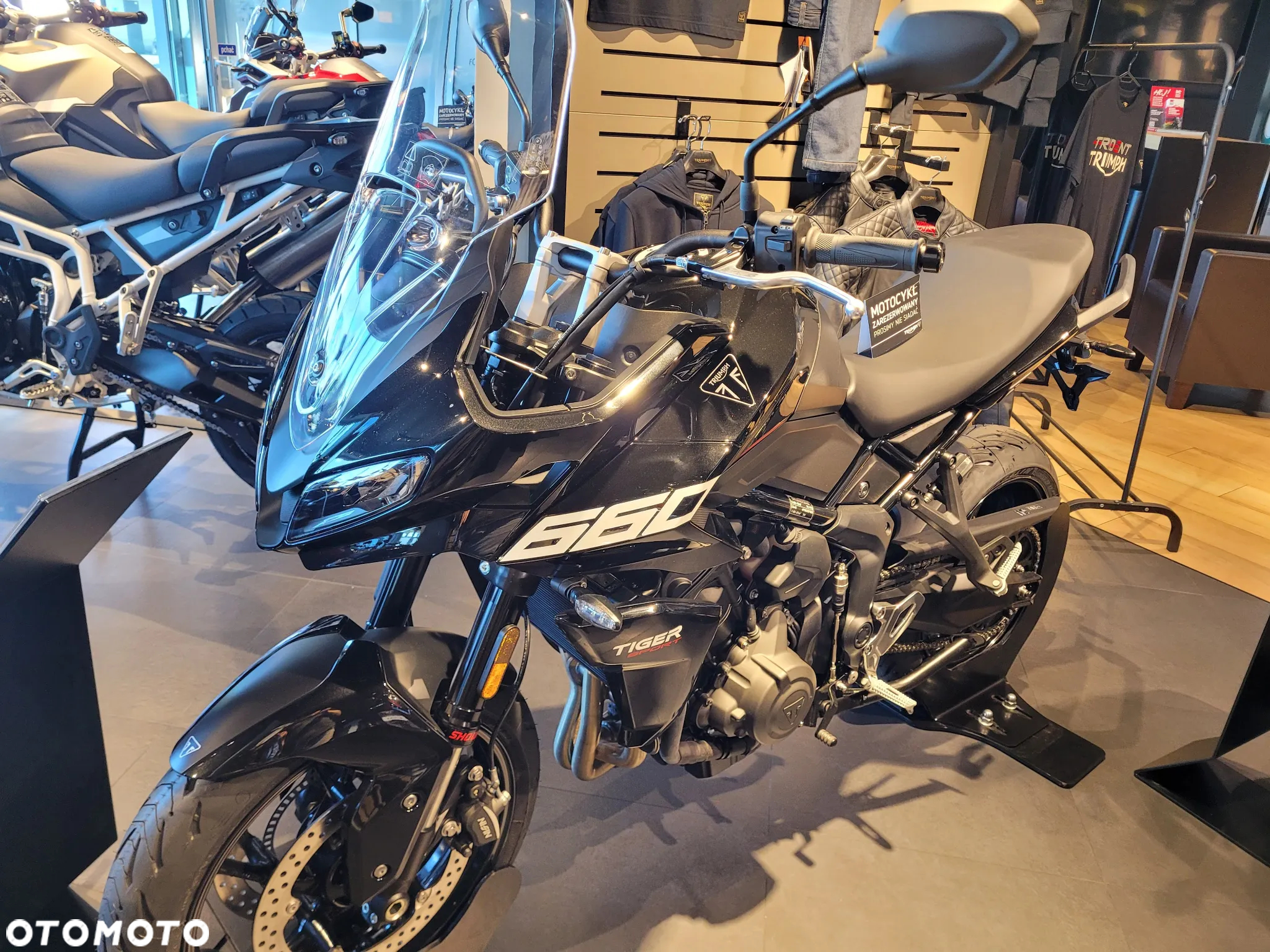 Triumph Tiger - 4