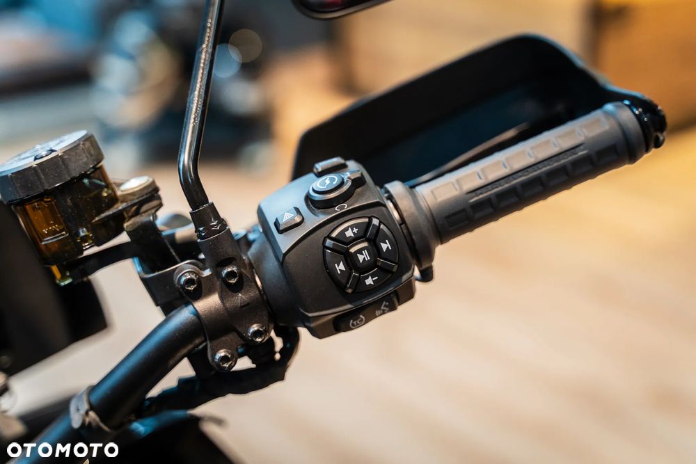 Harley-Davidson Pan America - 8