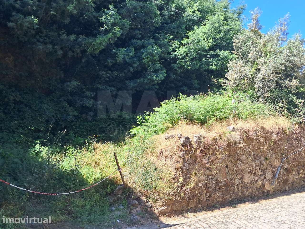 Terreno Misto com Ruína - Alcongosta, Fundão, Portugal - Grande imagem: 2/13